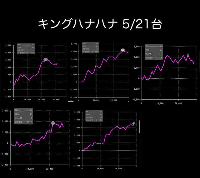 キングハナハナグラフ