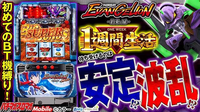 エヴァ1週間生活