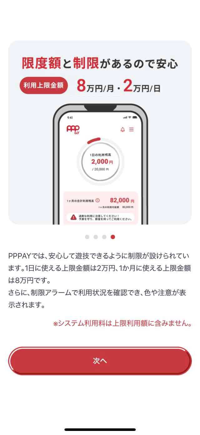 PPPay　特徴