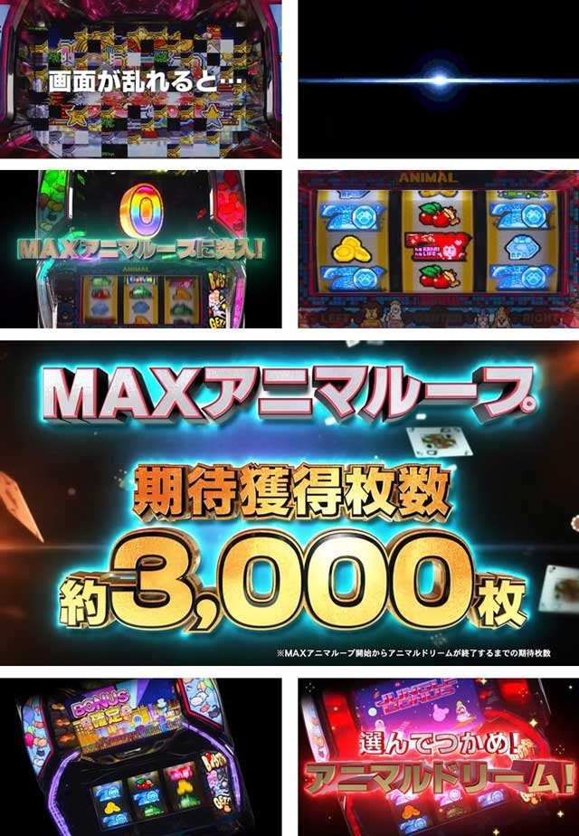 PV プロモーションムービー｜アニマルスロット ドッチ｜スマスロ パチスロ スロット