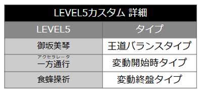 レベル5カスタム詳細