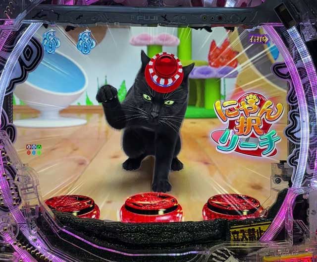 eリング 最恐領域 キャットクルモード　にゃん択リーチ