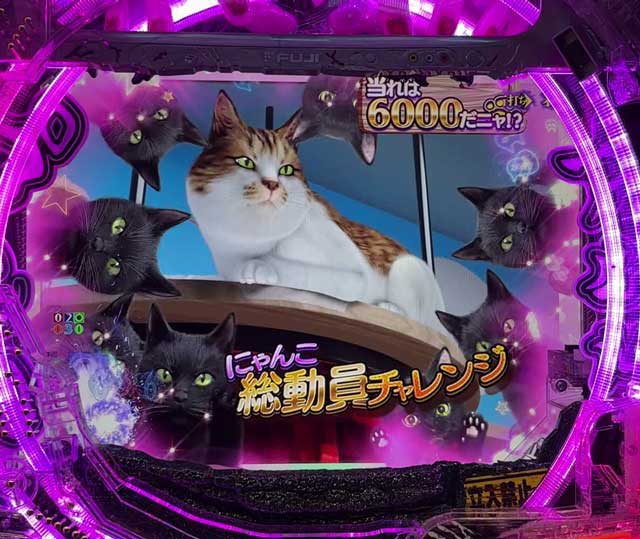 eリング 最恐領域 にゃんこパニック