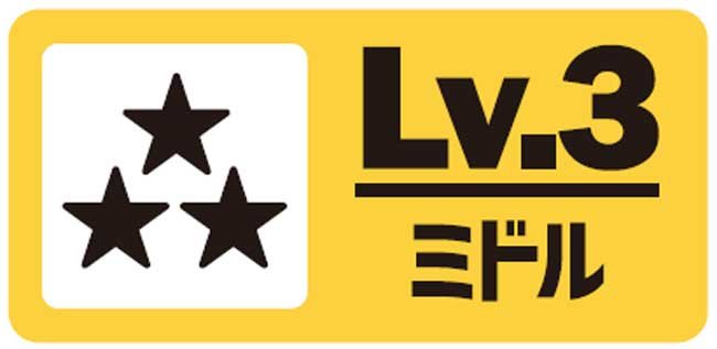 Lv.3：ミドル