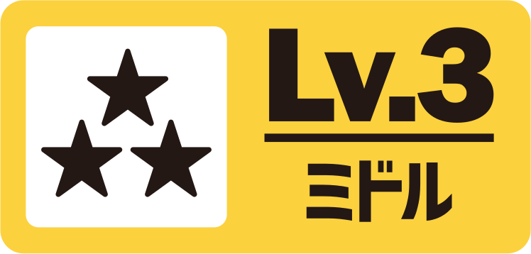 カテゴリ Lv.3 ミドル