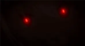 フリーズ演出