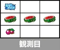 観測目パターン2