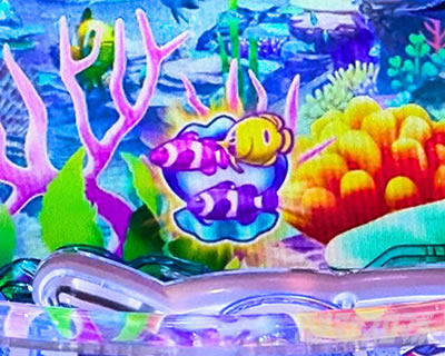 貝保留開放→魚群